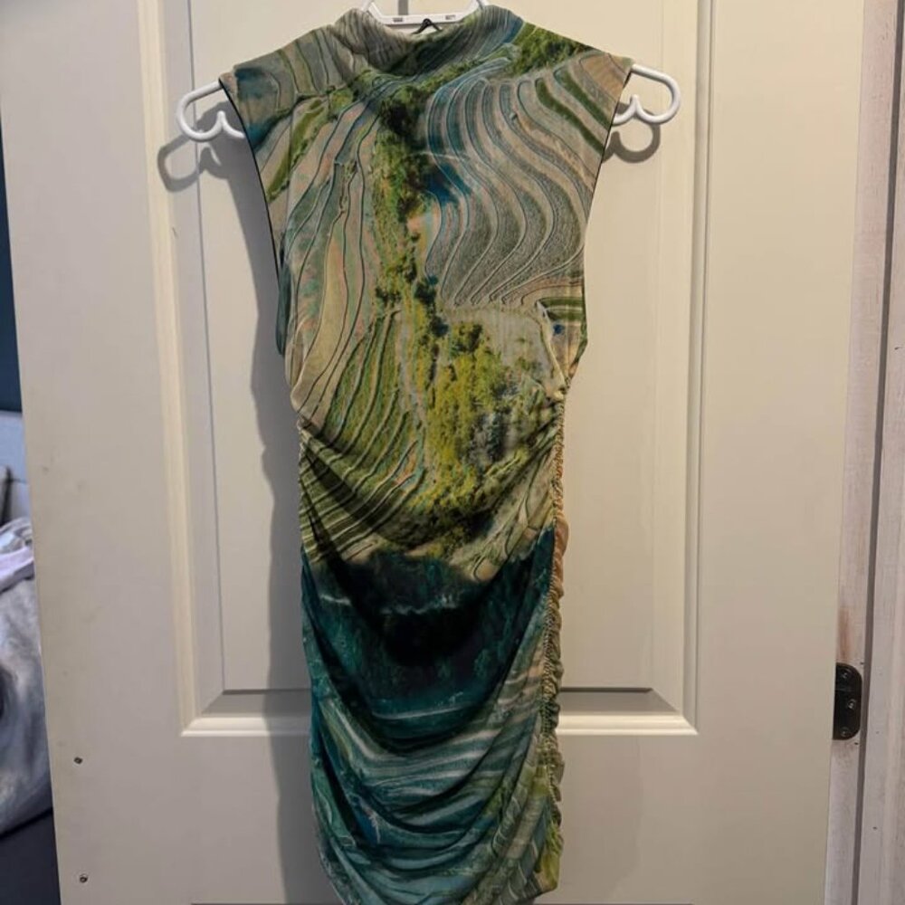 Zara Dress